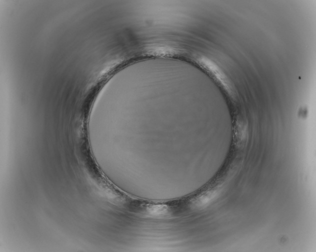 X0000093130355200710241327