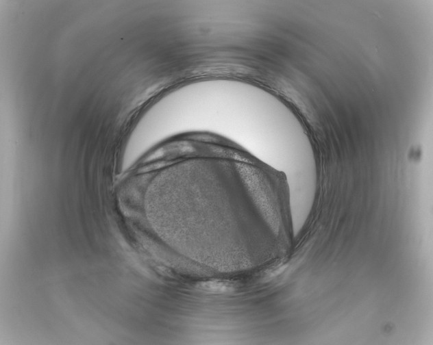 X0000093130356200710241327