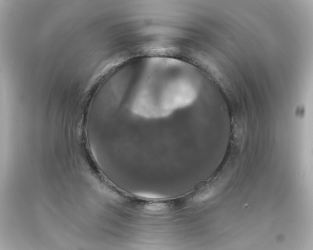 X0000093130357200710241327