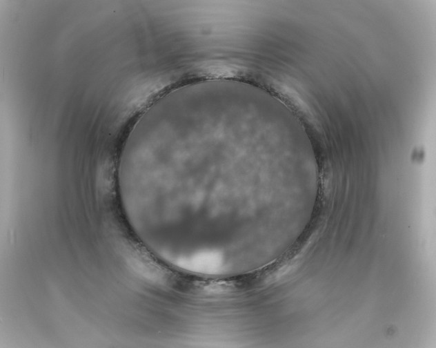 X0000093130359200710241327