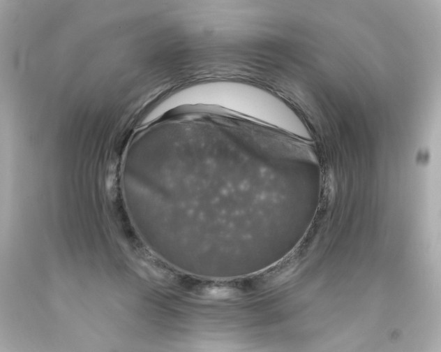 X0000093130360200710241327