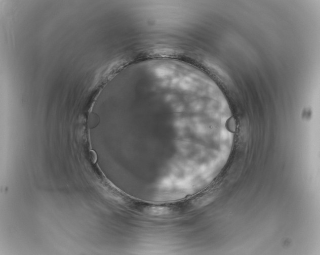 X0000093130361200710241327