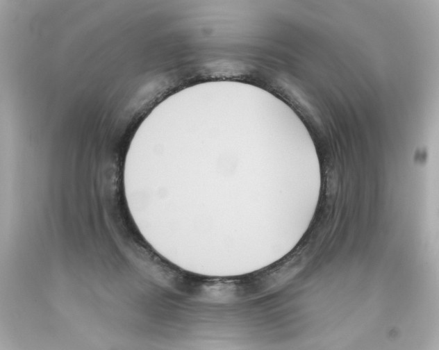 X0000093130362200710241327