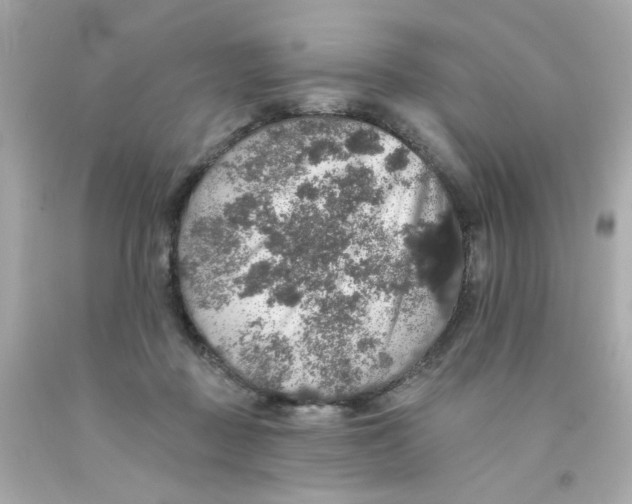 X0000093130363200710241327