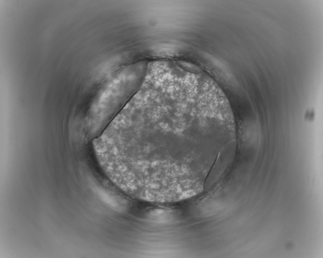 X0000093130364200710241327