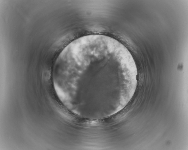 X0000093130365200710241327