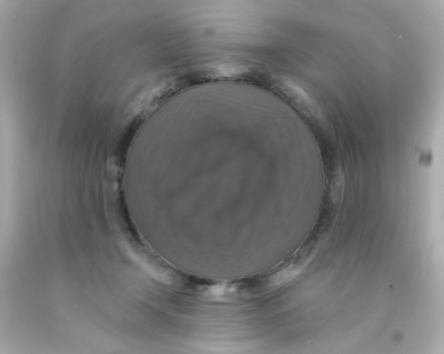 X0000093130366200710241327