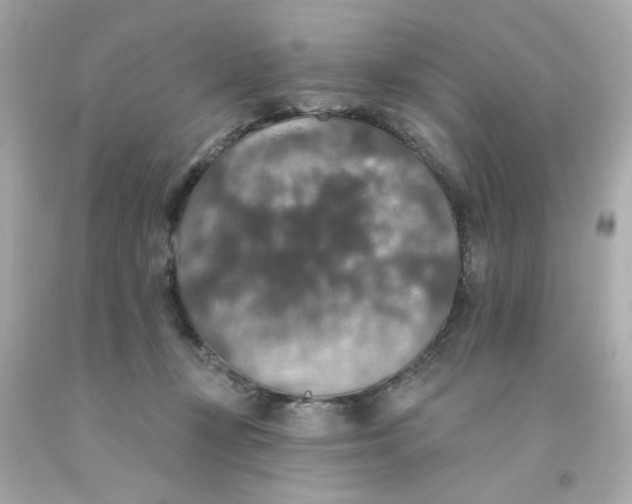 X0000093130367200710241327