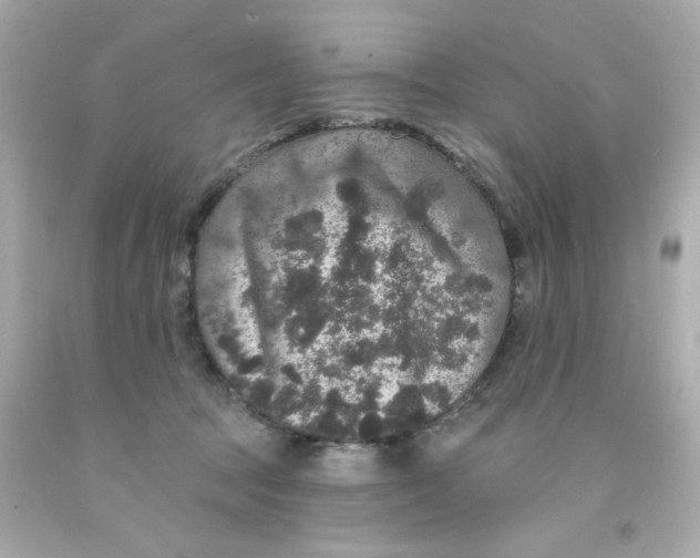 X0000093130369200710241327