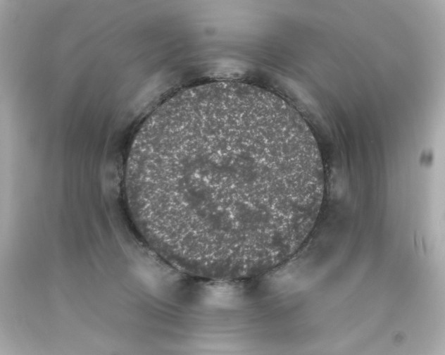 X0000093130370200710241327