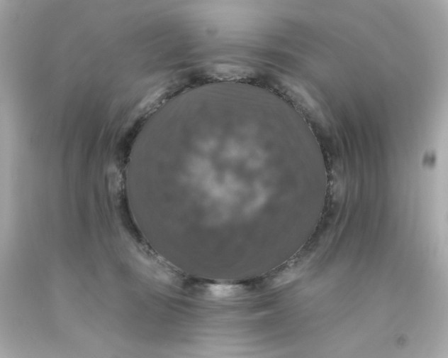 X0000093130371200710241327