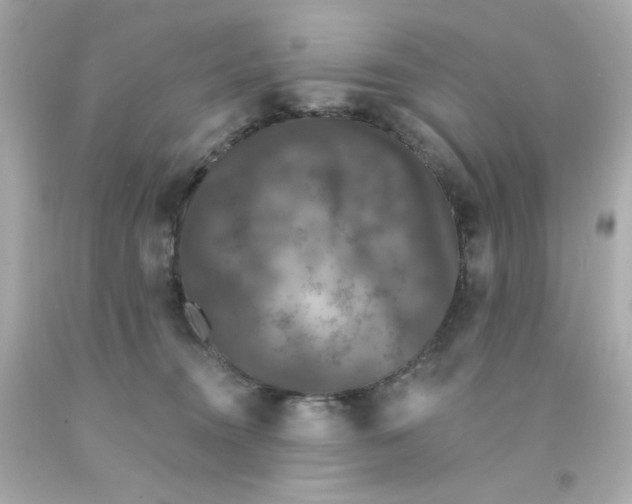 X0000093130372200710241327