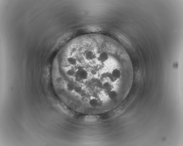 X0000093130373200710241327