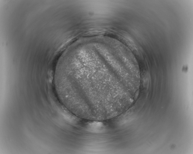X0000093130374200710241327