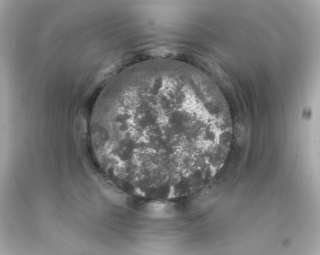 X0000093130375200710241327