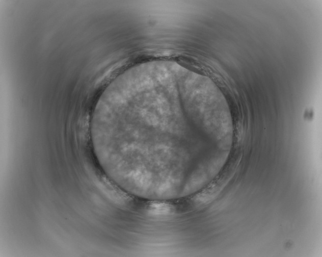 X0000093130376200710241327