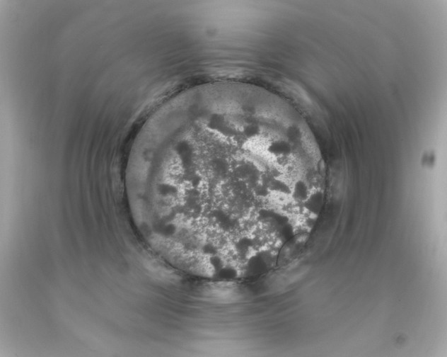 X0000093130377200710241327