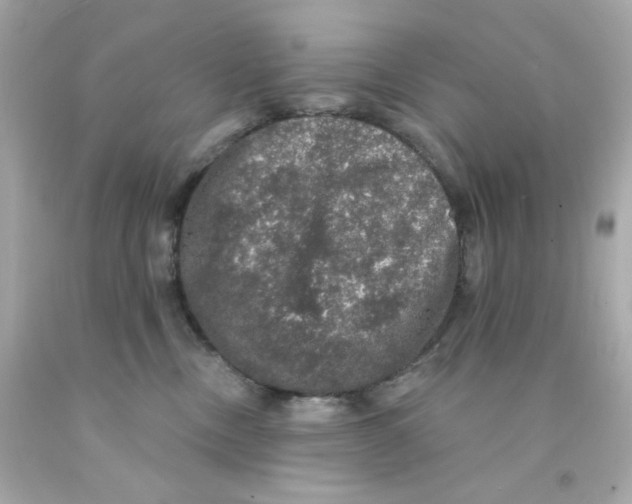X0000093130378200710241327