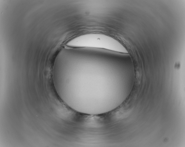 X0000093130379200710241327