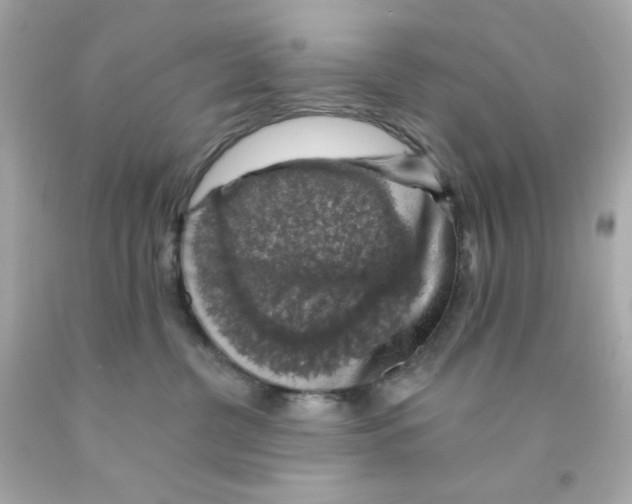 X0000093130380200710241327