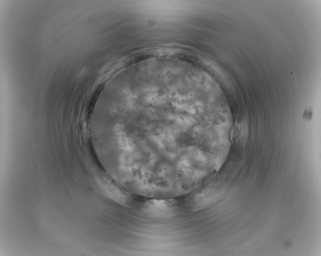 X0000093130381200710241327