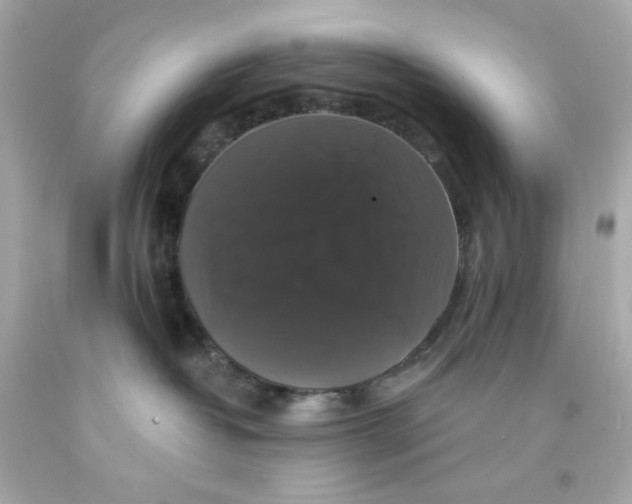 X0000093130382200710241327
