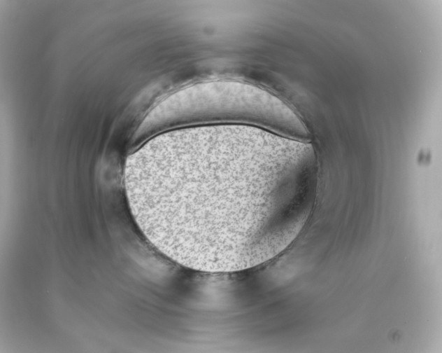 X0000093130384200710241327