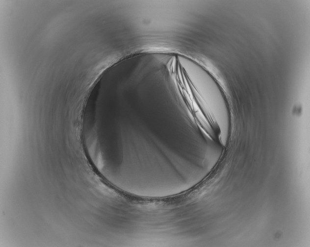 X0000093130385200710241327