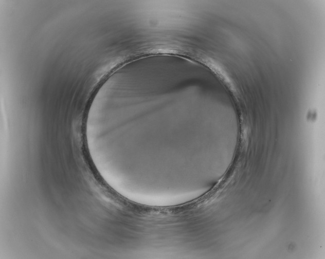 X0000093130386200710241327