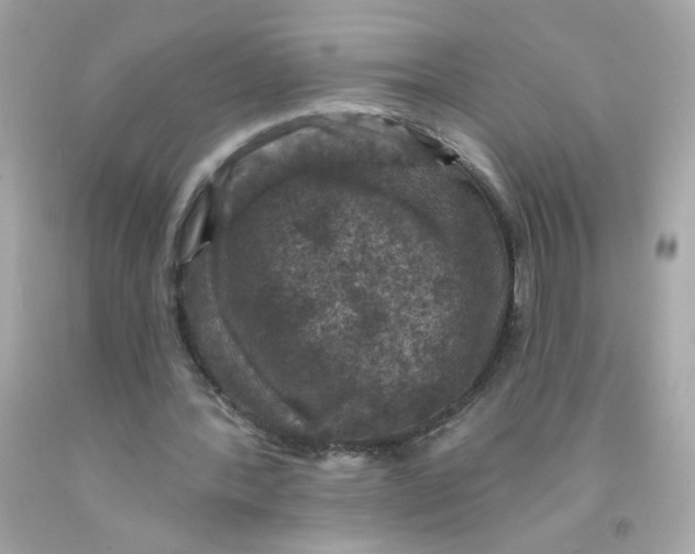 X0000093130388200710241327