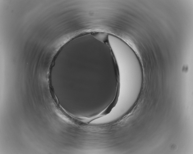 X0000093130389200710241327