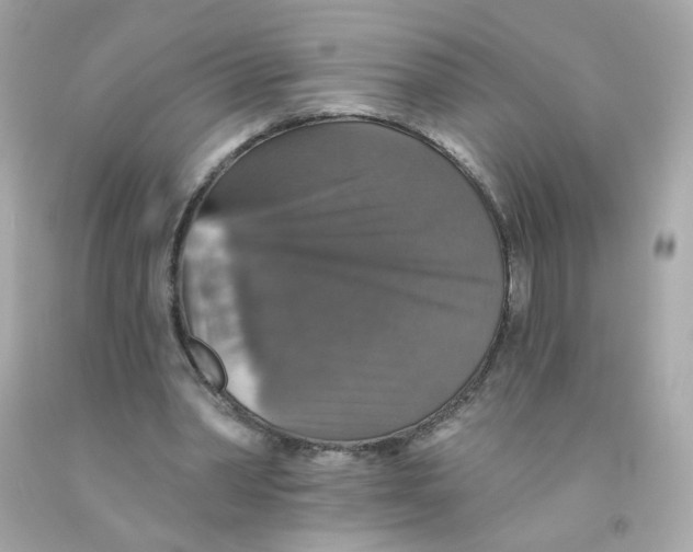 X0000093130390200710241326