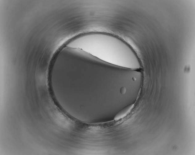X0000093130391200710241326