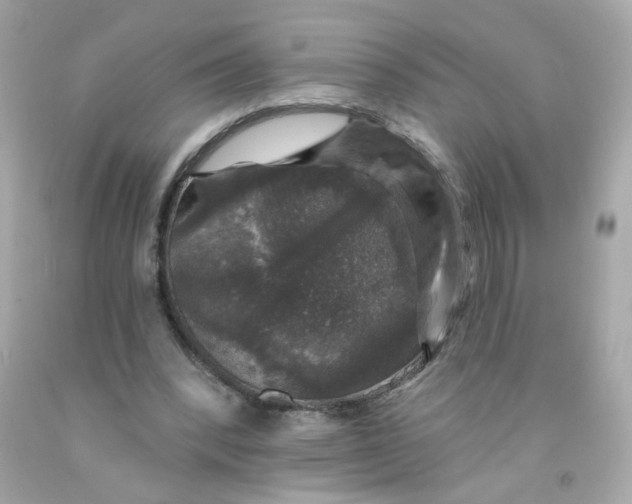 X0000093130392200710241326