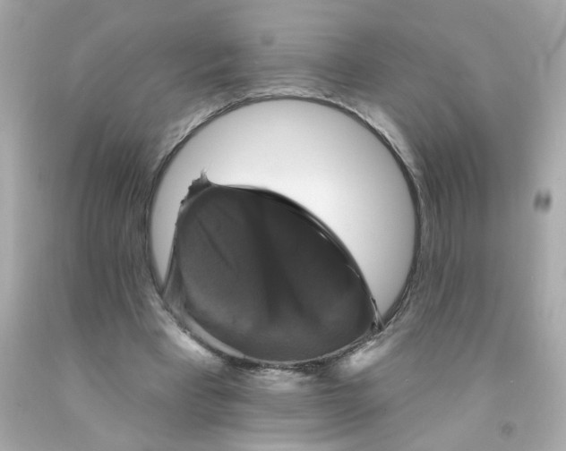 X0000093130393200710241326