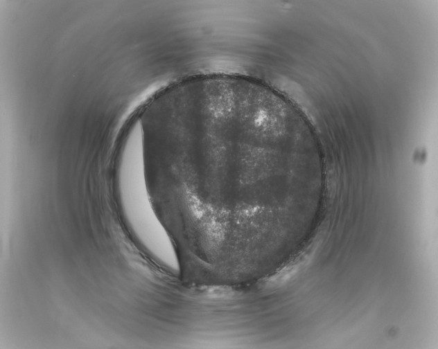 X0000093130395200710241326