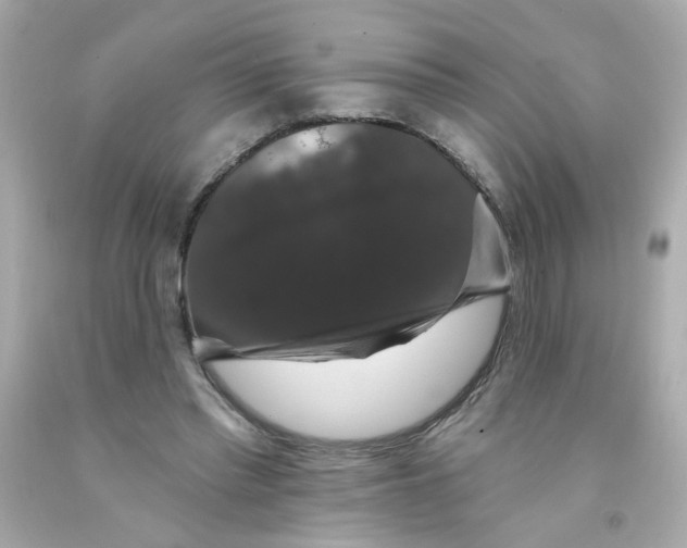 X0000093130397200710241326