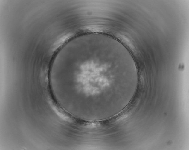 X0000093130398200710241326