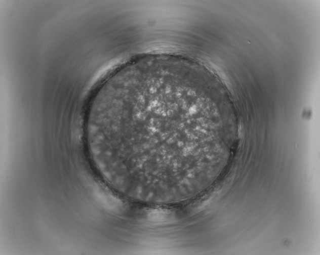 X0000093130400200710241326