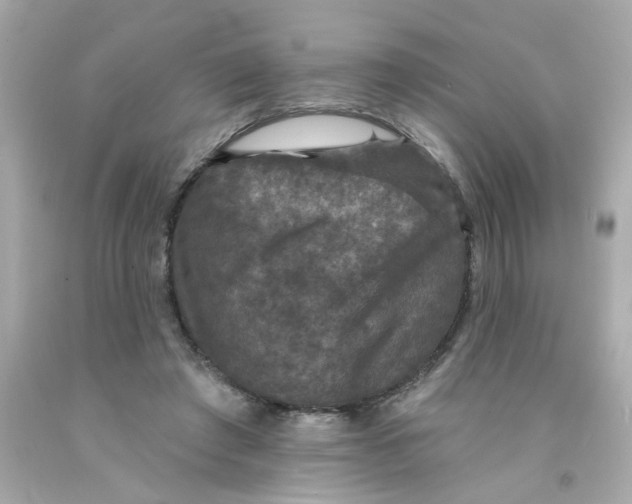 X0000093130401200710241326