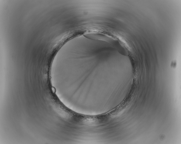 X0000093130402200710241326