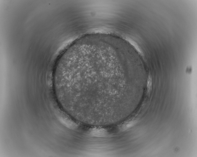 X0000093130403200710241326