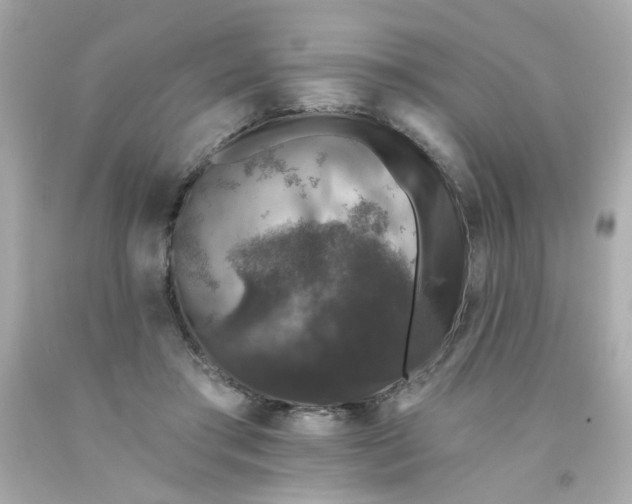 X0000093130405200710241326