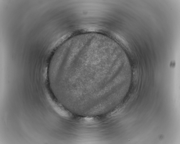 X0000093130406200710241326