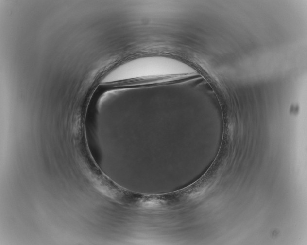 X0000093130407200710241326