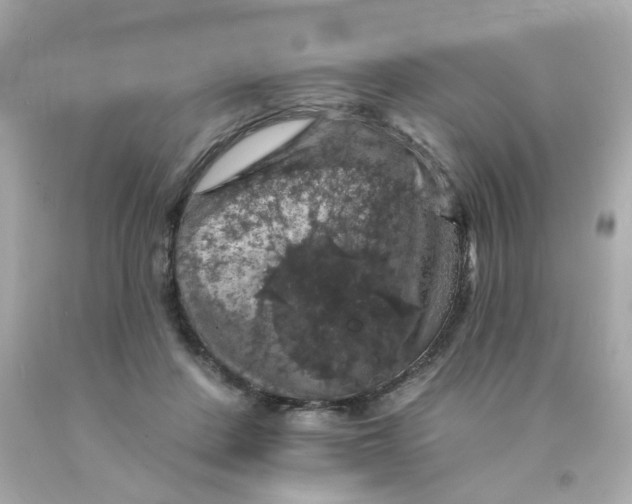 X0000093130408200710241326