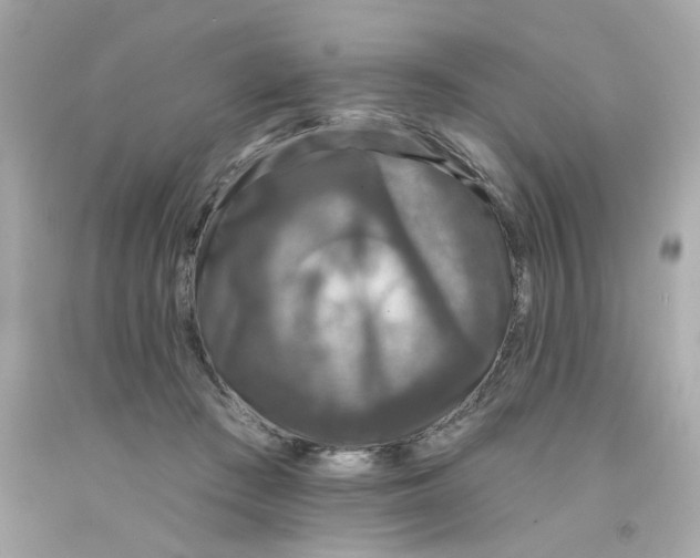 X0000093130409200710241326