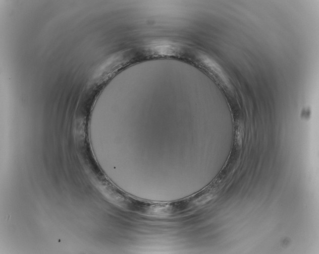 X0000093130410200710241326