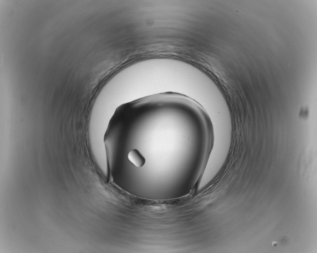 X0000093130411200710241326