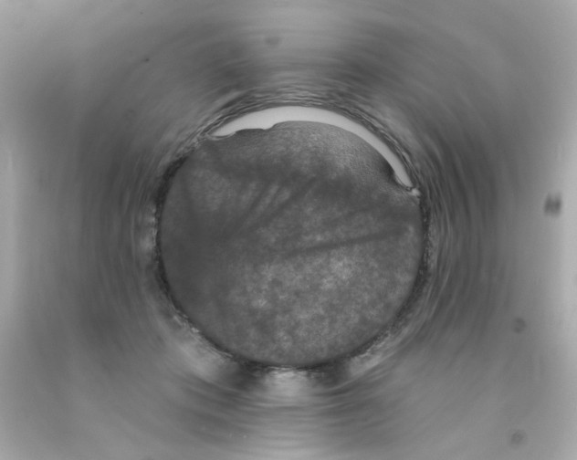 X0000093130413200710241326